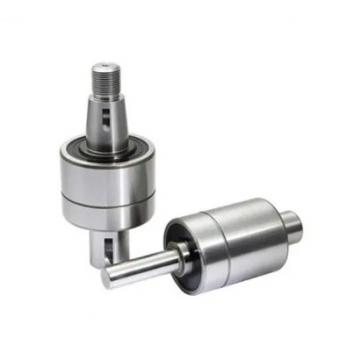 17 mm x 40 mm x 12 mm  FAG NJ203-E-TVP2  Cylindrical Roller Bearings