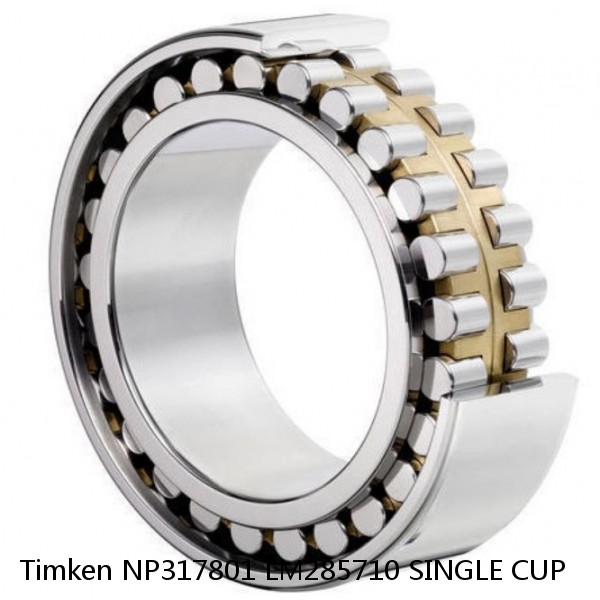 NP317801 LM285710 SINGLE CUP Timken Cylindrical Roller Bearing