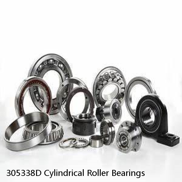 305338D Cylindrical Roller Bearings