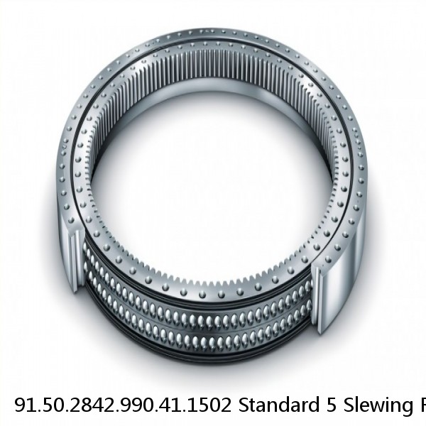 91.50.2842.990.41.1502 Standard 5 Slewing Ring Bearings #1 small image