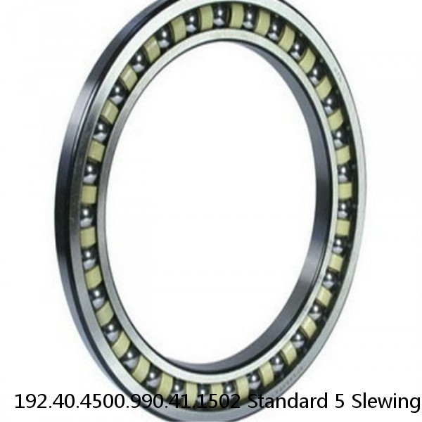 192.40.4500.990.41.1502 Standard 5 Slewing Ring Bearings