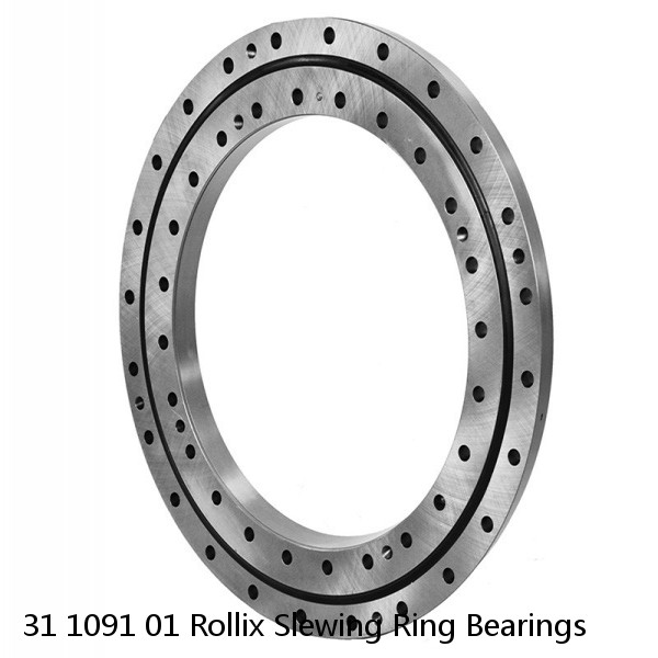 31 1091 01 Rollix Slewing Ring Bearings #1 small image