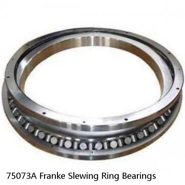 75073A Franke Slewing Ring Bearings #1 small image