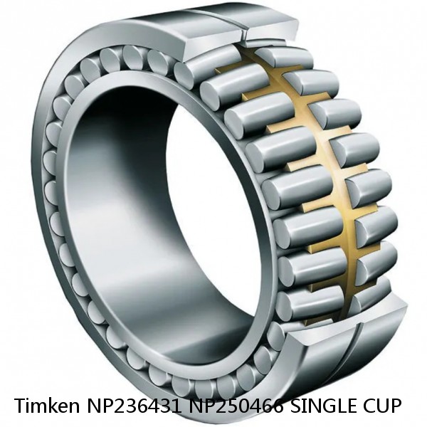 NP236431 NP250466 SINGLE CUP Timken Cylindrical Roller Bearing