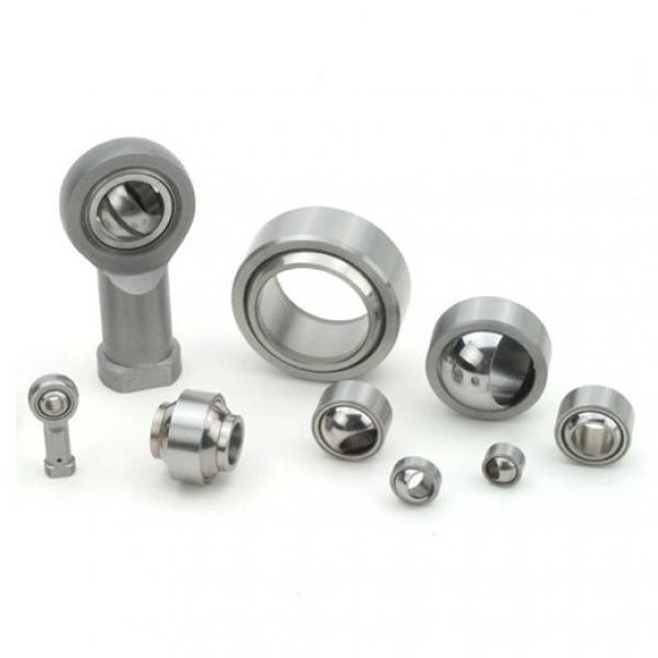 17 mm x 40 mm x 12 mm  FAG NJ203-E-TVP2  Cylindrical Roller Bearings #2 image