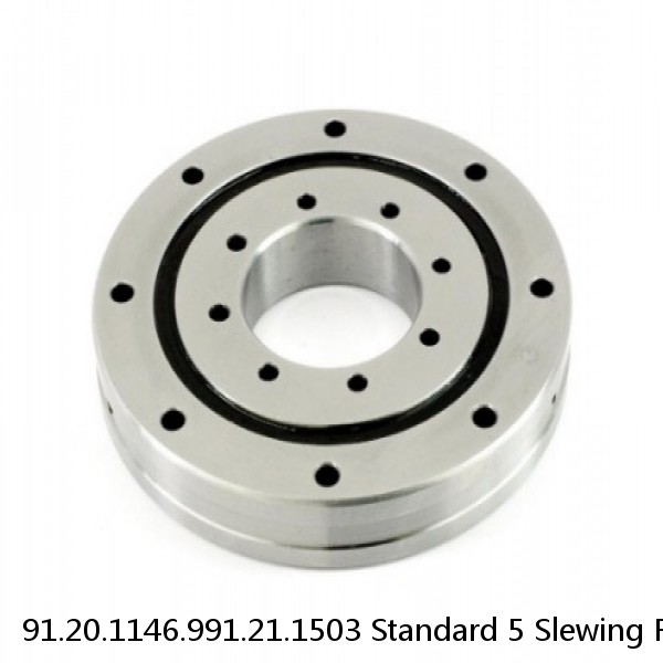 91.20.1146.991.21.1503 Standard 5 Slewing Ring Bearings #1 image