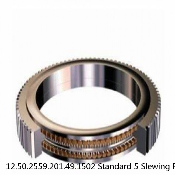 12.50.2559.201.49.1502 Standard 5 Slewing Ring Bearings #1 image