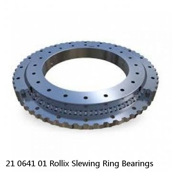 21 0641 01 Rollix Slewing Ring Bearings #1 image