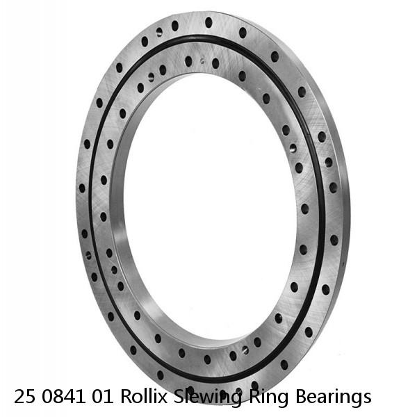25 0841 01 Rollix Slewing Ring Bearings #1 image