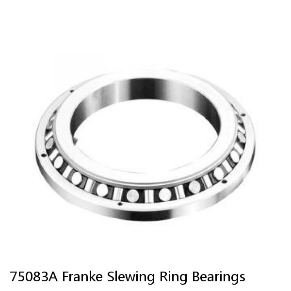 75083A Franke Slewing Ring Bearings #1 image