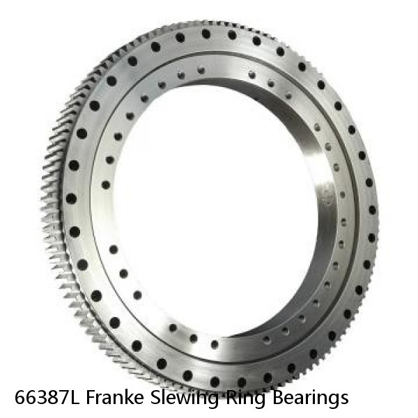 66387L Franke Slewing Ring Bearings #1 image