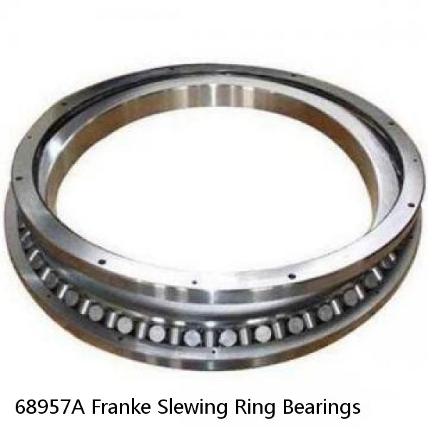 68957A Franke Slewing Ring Bearings #1 image